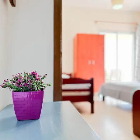 Haus Petris Ξενοδοχείο με διαμερίσματα Σάρτη
