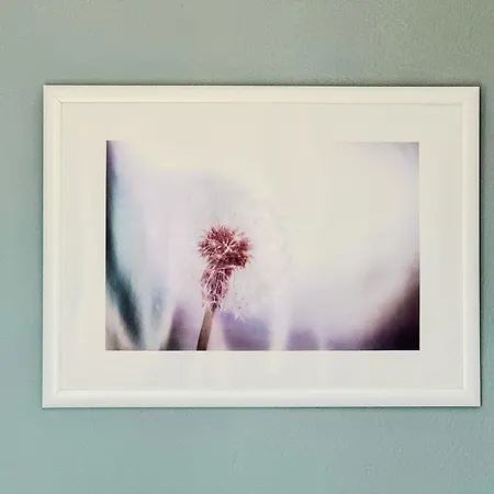 Haus Petris 3*