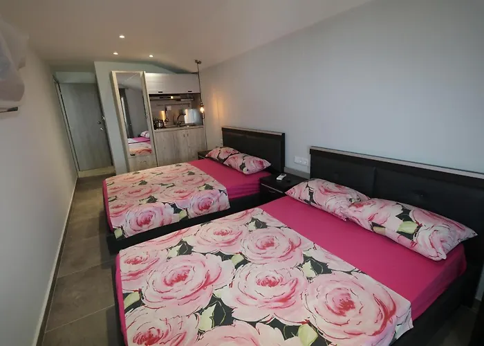 Aparthotel Haus Petris 3*