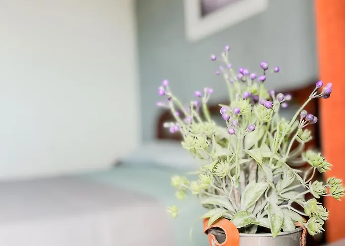 Aparthotel Haus Petris 3*